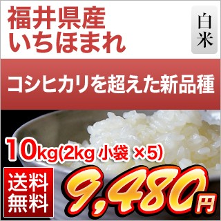 福井県産 いちほまれ10kg
