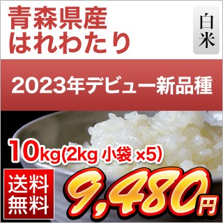 青森県産 はれわたり10kg