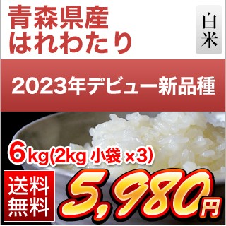 青森県産 はれわたり6kg