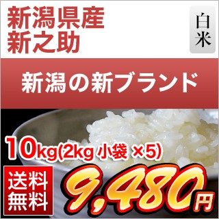 新潟県産 新之助10kg(2kg×5袋)