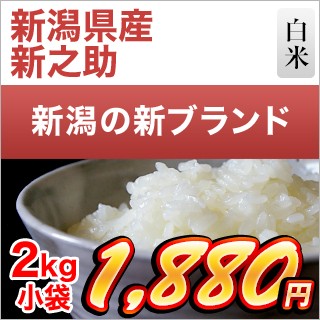 新潟県産 新之助 2kg