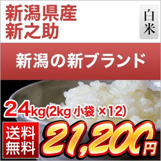 新潟県産 新之助24kg