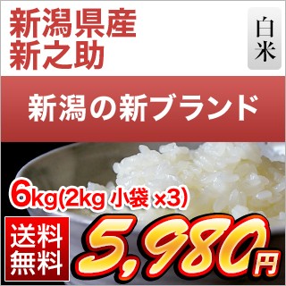 新潟県産 新之助6kg(2kg×3袋)