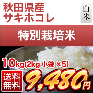 秋田県産 サキホコレ10kg