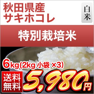 秋田県産 サキホコレ6kg