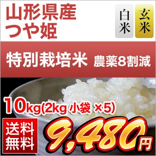 山形県産 つや姫 10kg