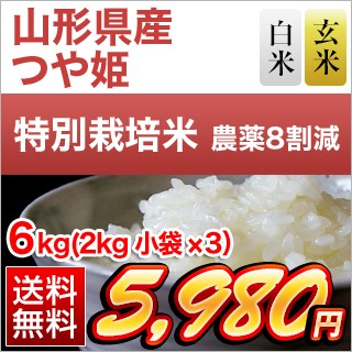 山形県産 つや姫 6kg