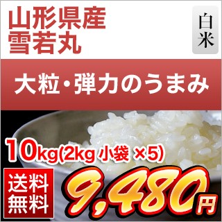 山形県産 雪若丸10kg
