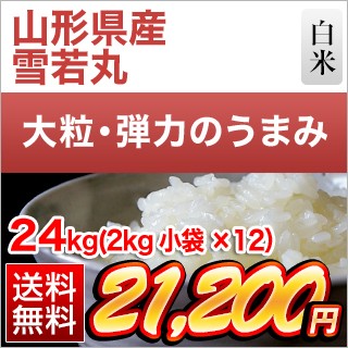 山形県産 雪若丸24kg