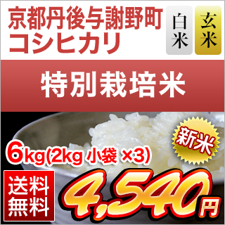 ���s�O��^�Ӗ쒬�Y �R�V�q�J�� ���āE���� 6kg