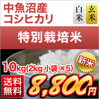 �V�����������Y �R�V�q�J�� ���āE���� 10kg