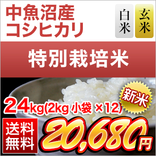�V�����������Y �R�V�q�J�� ���āE���� 24kg