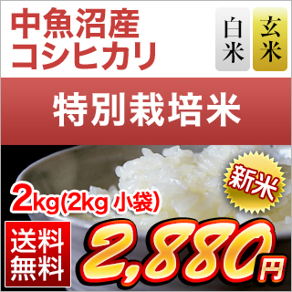 �V�����������Y �R�V�q�J�� ���āE���� 2kg