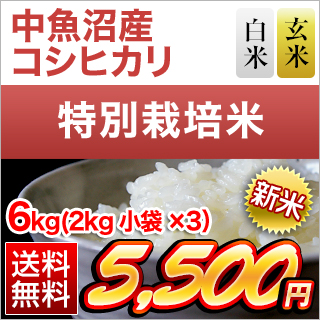 �V�����������Y �R�V�q�J�� ���āE���� 6kg