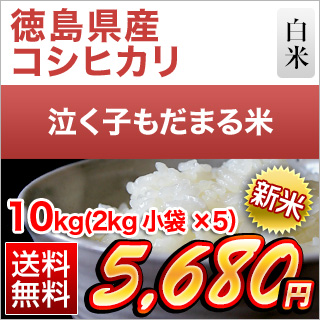 �������Y �����q�����܂�� 10kg