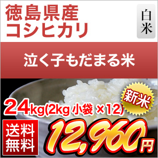 �������Y �����q�����܂�� 24kg
