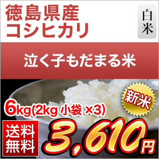�������Y �����q�����܂�� 6kg