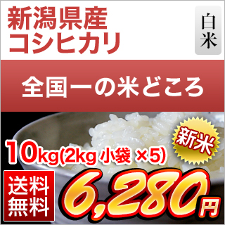 �V�����Y �R�V�q�J�� ���� 10kg