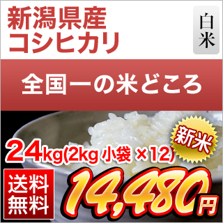 �V�����Y �R�V�q�J�� ���� 24kg