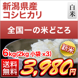 �V�����Y �R�V�q�J�� ���� 6kg