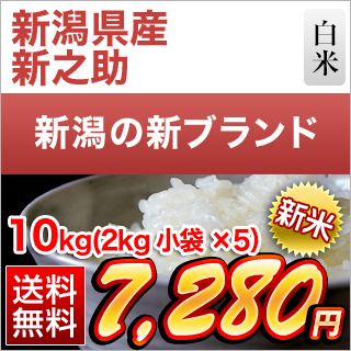 �V�����Y �V�V�� ���� 10kg