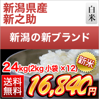 �V�����Y �V�V�� ���� 24kg