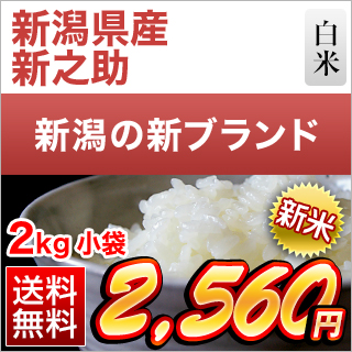 �V�����Y �V�V�� ���� 2kg