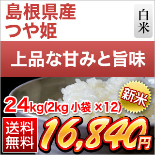 �������Y ��P ���� 24kg