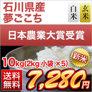 �ΐ쌧�Y �������� 10kg