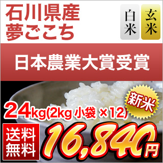 �ΐ쌧�Y �������� 24kg