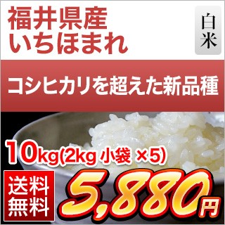 䌧Y ق܂10kg