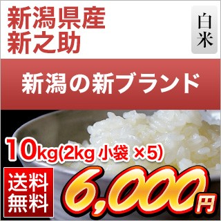 VY VV10kg(2kg~5)