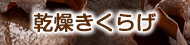 乾燥きくらげ