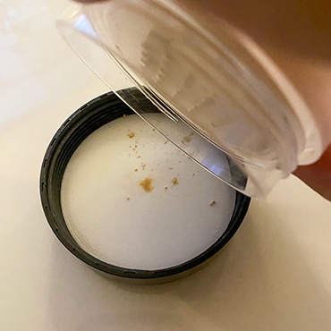 ���[�� �����V�G 3