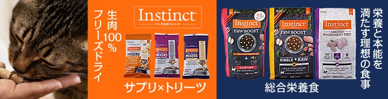 インスティンクト猫