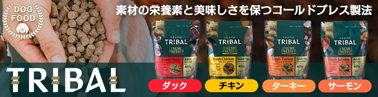 トライバル