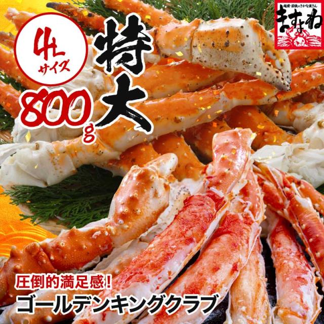 �S�[���f���L���O�N���u800g