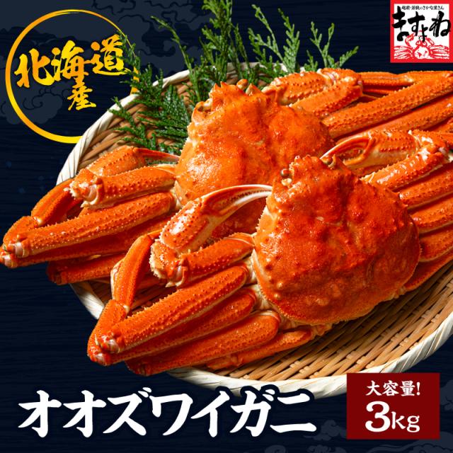 �k�C���Y �I�I�Y���C�K�j3kg