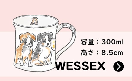 ダヌーン