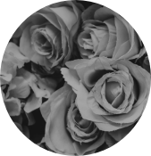 �ō��̃t���O�����X�I�C��