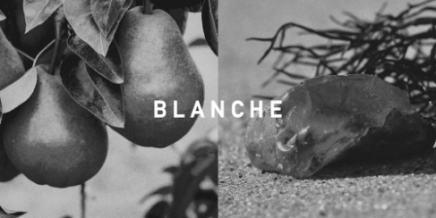 �u�����V��