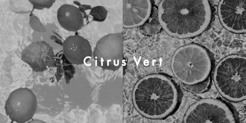 Citrus Vert