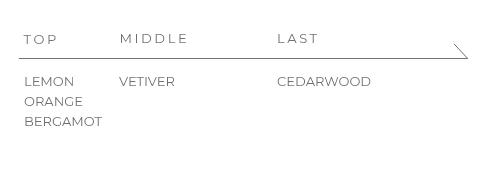 �V�g���X�x�[��