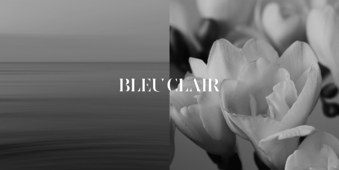 �u���[�N���[��