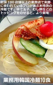 業務用韓国冷麺10食セット
