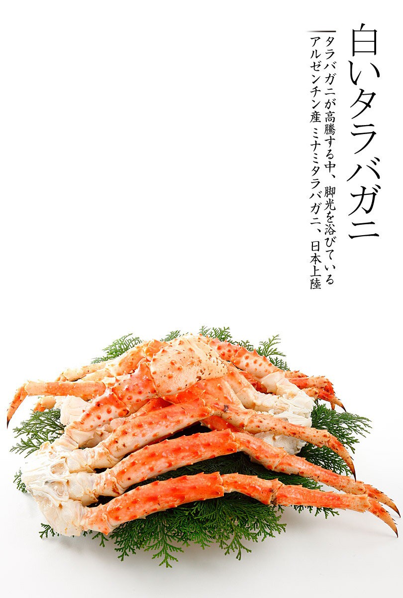 カニのキタウロコ カニのキタウロコ