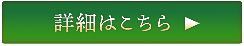 �ڂ�������