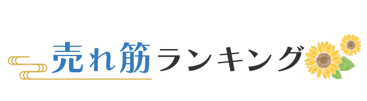 売れ筋ランキング