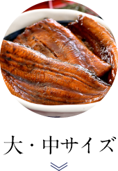 TCY