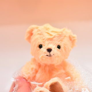 テディベアのお手入れ